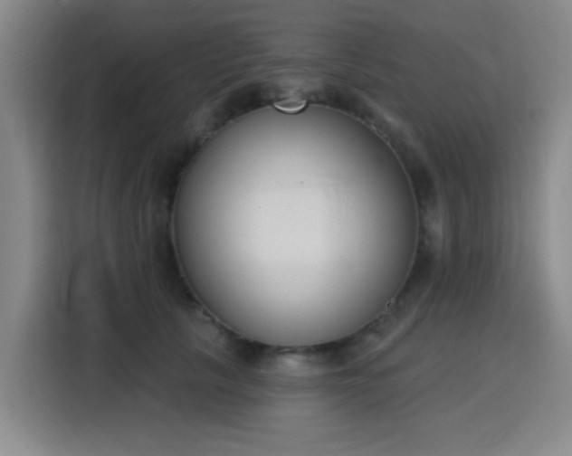 X0000116150657200911231332