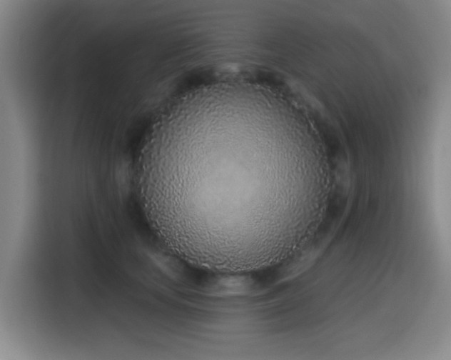 X0000116150659200911231332