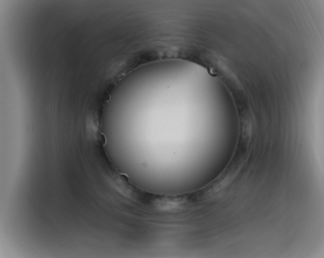 X0000116150661200911231332