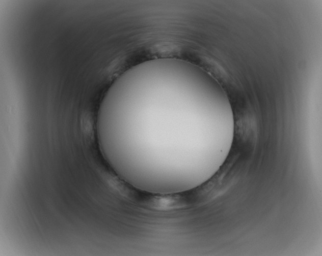 X0000116150662200911231332