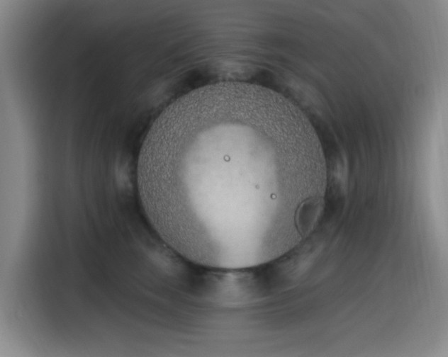 X0000116150663200911231332