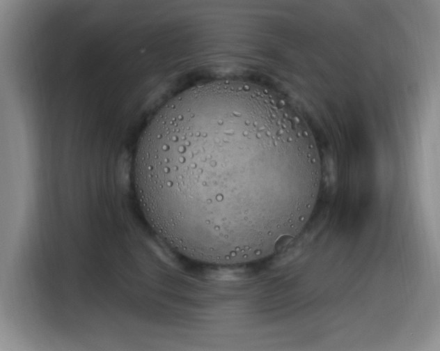 X0000116150664200911231332