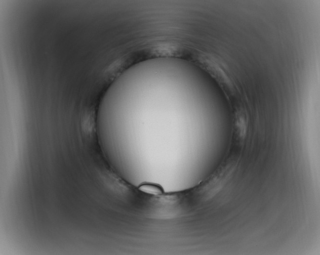 X0000116150665200911231332