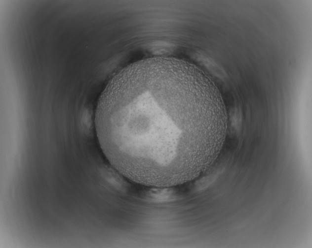 X0000116150667200911231332