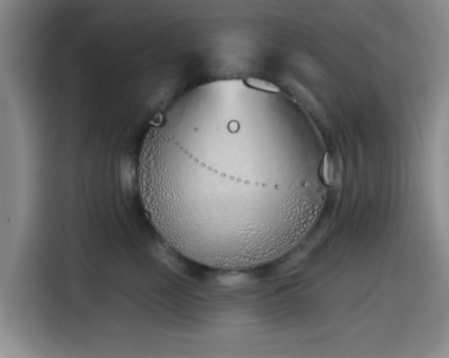 X0000116150669200911231332