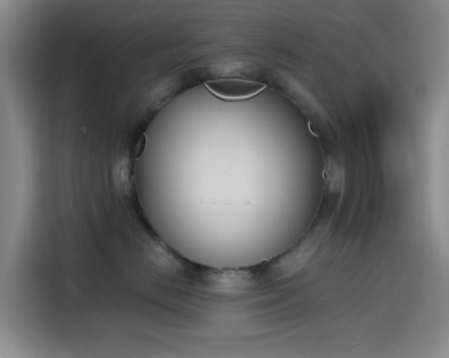 X0000116150670200911231332