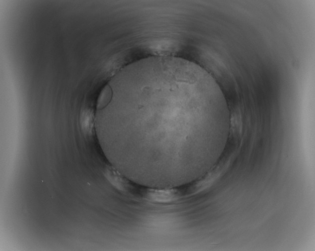 X0000116150671200911231332