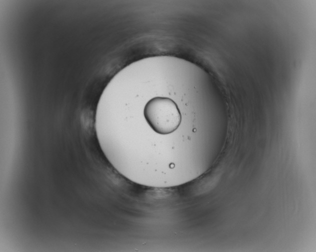 X0000116150672200911231332