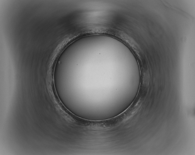 X0000116150673200911231332