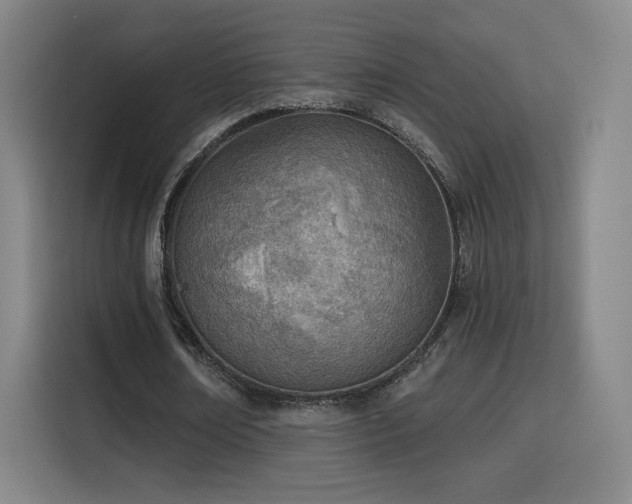 X0000116150674200911231332