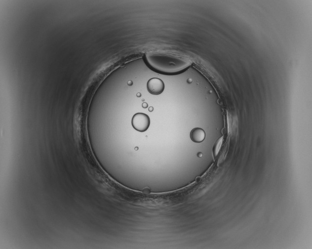 X0000116150675200911231332