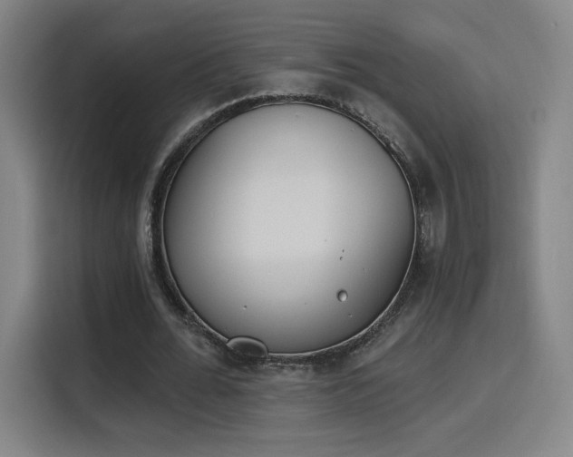 X0000116150676200911231332