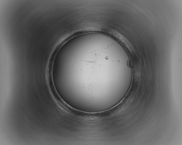 X0000116150677200911231332