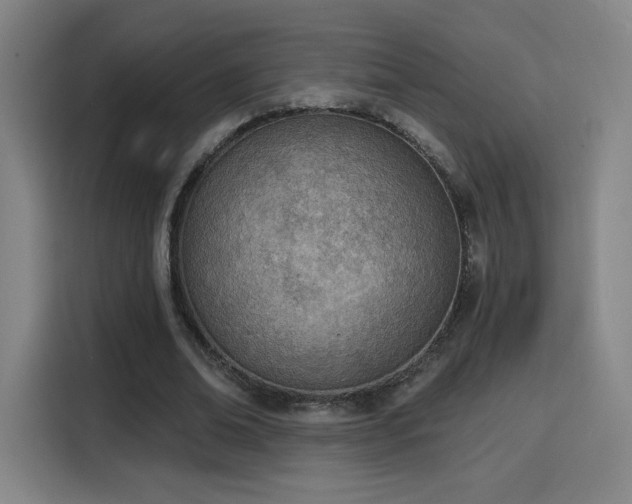 X0000116150678200911231332