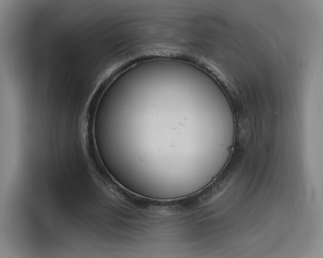 X0000116150679200911231332