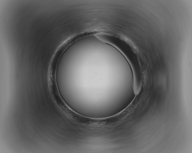 X0000116150680200911231332