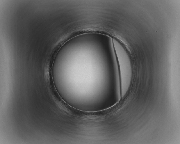 X0000116150681200911231332