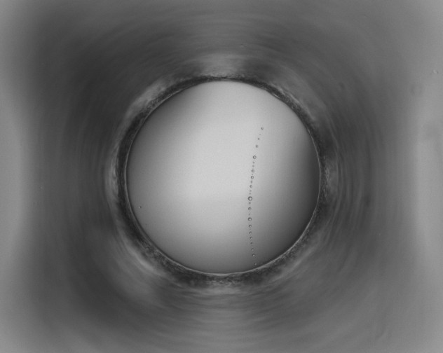 X0000116150682200911231332