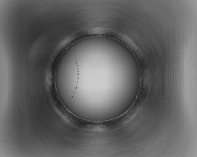 X0000116150683200911231332