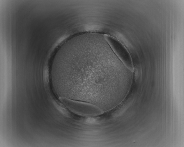 X0000116150684200911231332