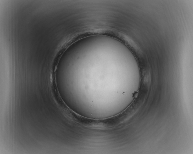 X0000116150685200911231332