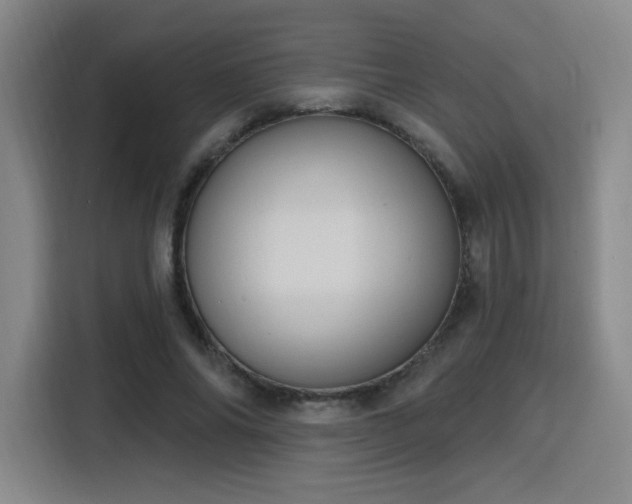 X0000116150686200911231332