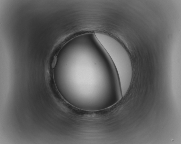 X0000116150688200911231332