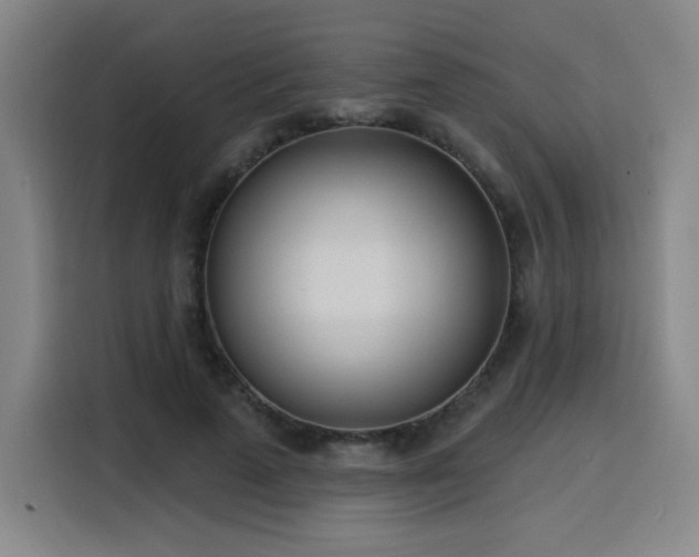 X0000116150689200911231332