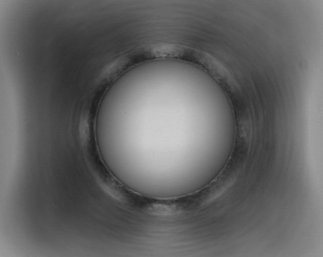 X0000116150690200911231332