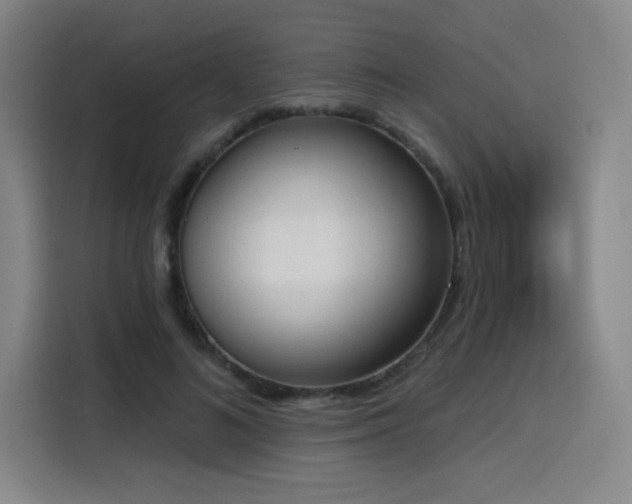 X0000116150692200911231332