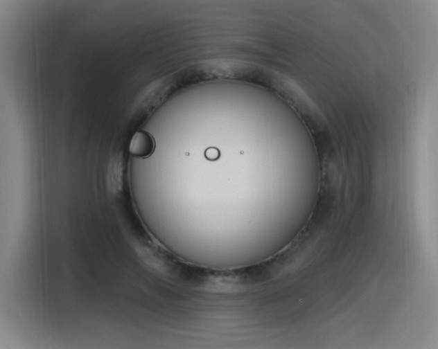 X0000116150694200911231332