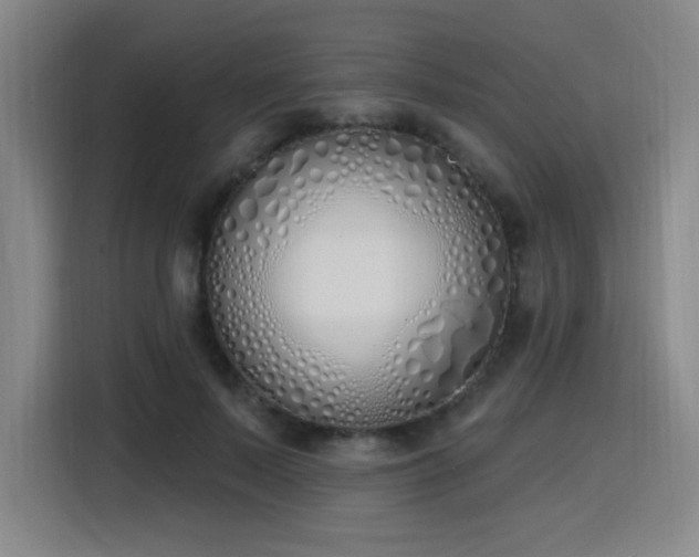 X0000116150695200911231332