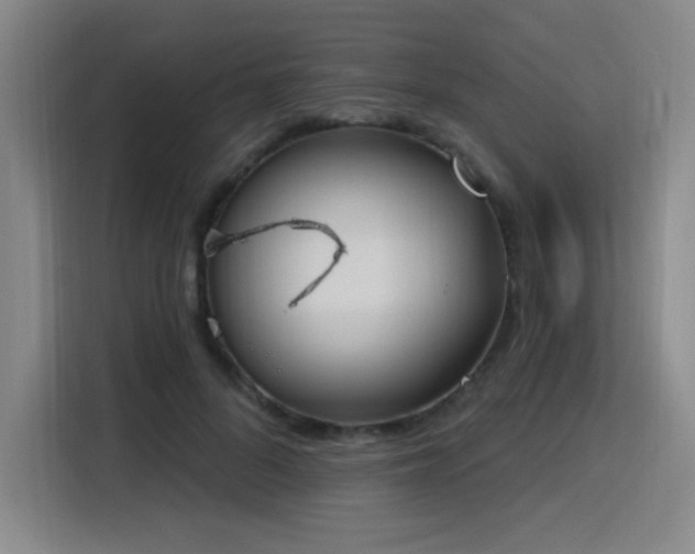 X0000116150696200911231331