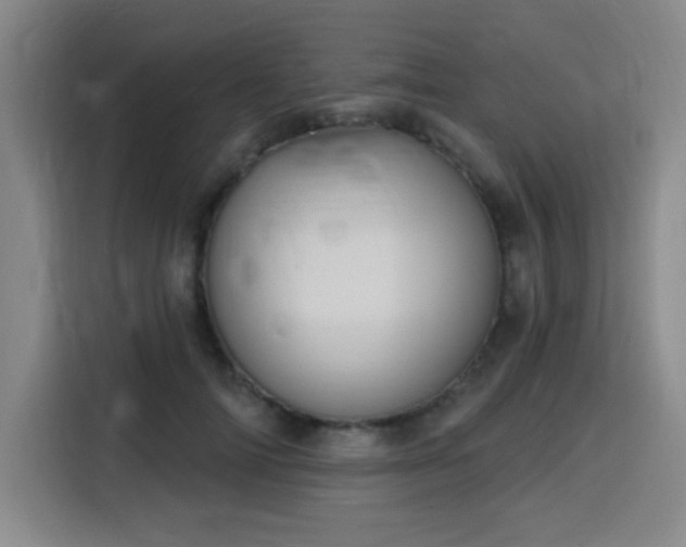 X0000116150698200911231331