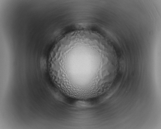 X0000116150699200911231331