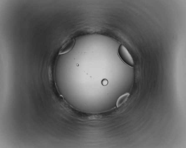 X0000116150700200911231331