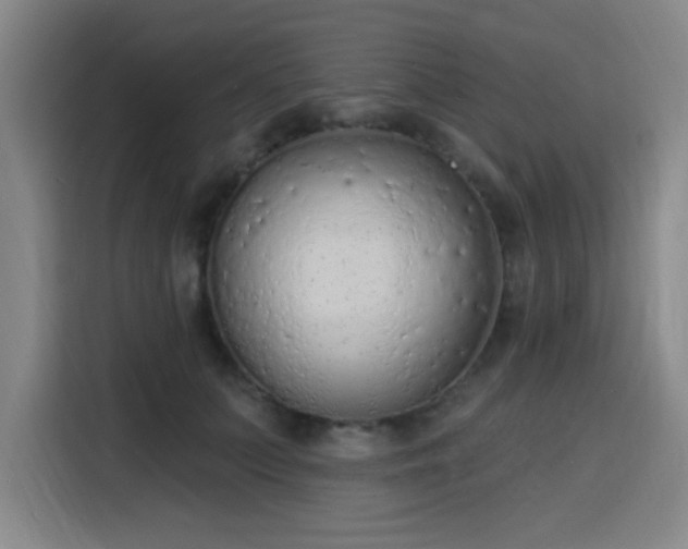 X0000116150703200911231331