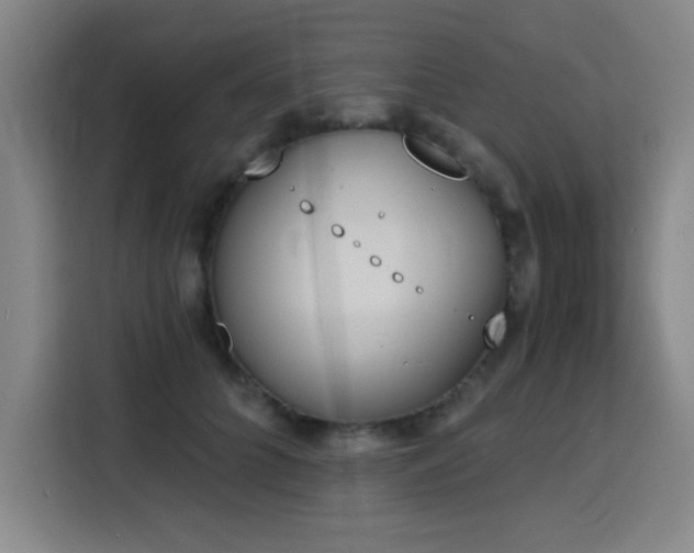 X0000116150704200911231331