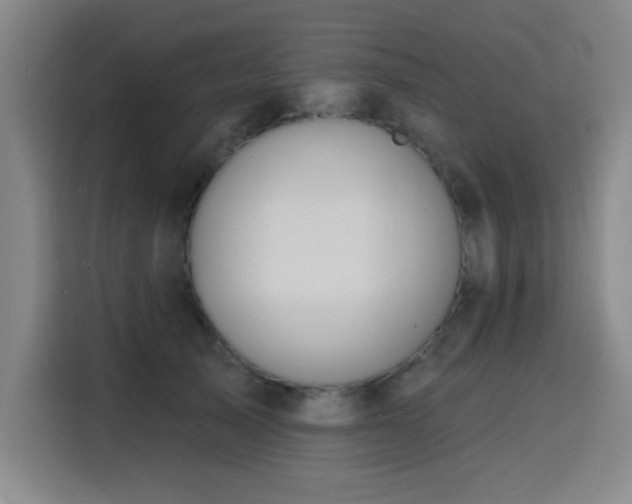 X0000116150705200911231331