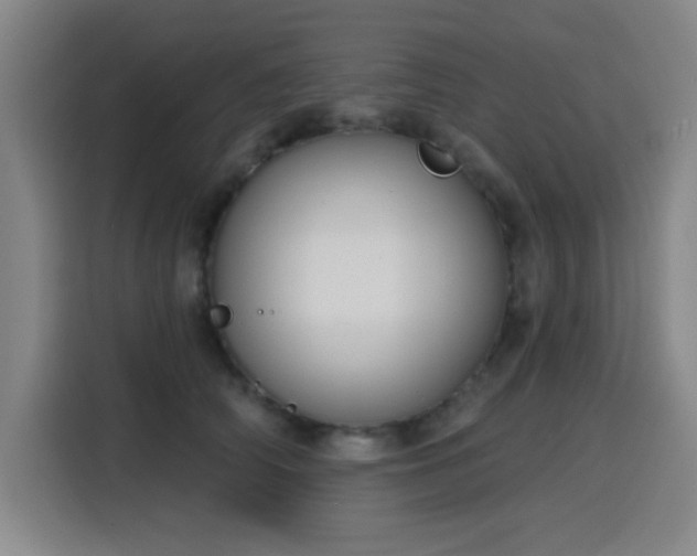 X0000116150706200911231331