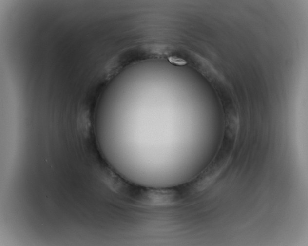 X0000116150707200911231331