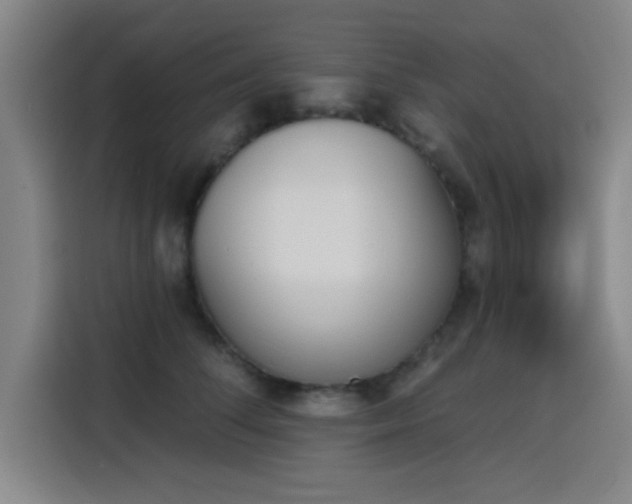 X0000116150708200911231331