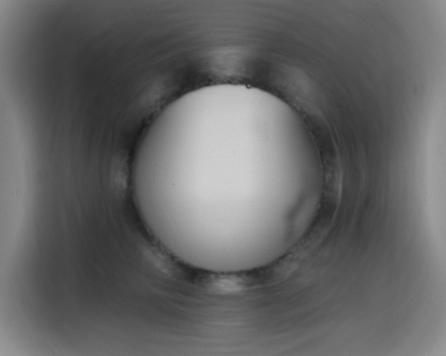 X0000116150710200911231331