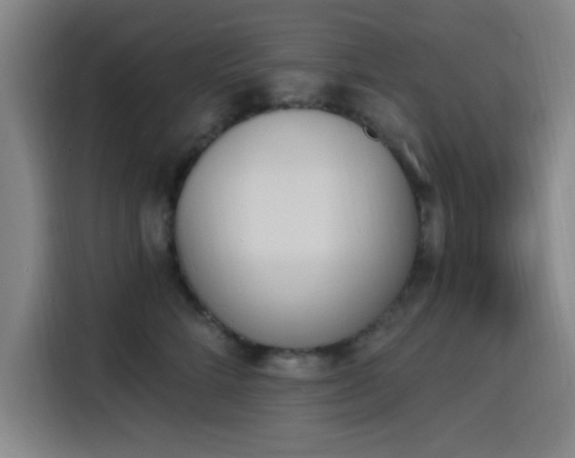 X0000116150712200911231331