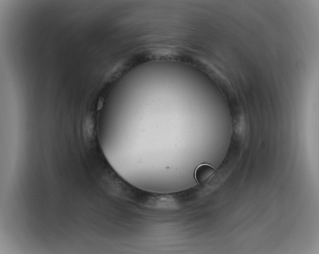 X0000116150715200911231331