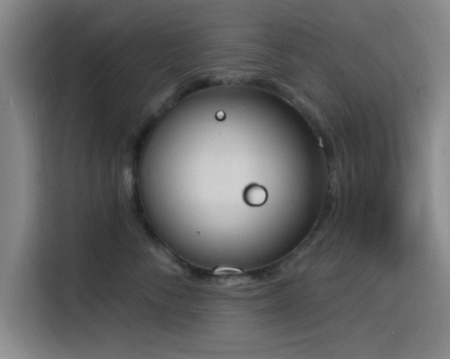 X0000116150716200911231331