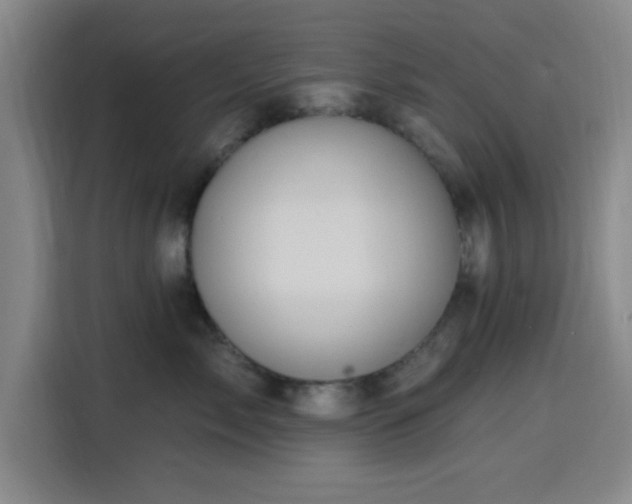 X0000116150717200911231331