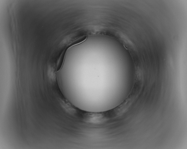 X0000116150719200911231331