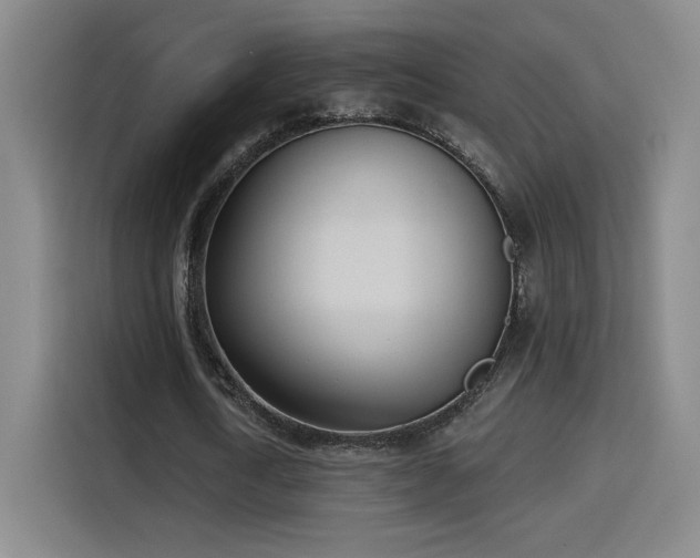 X0000116150722200911231331