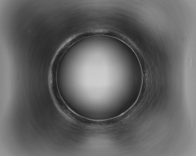 X0000116150726200911231331